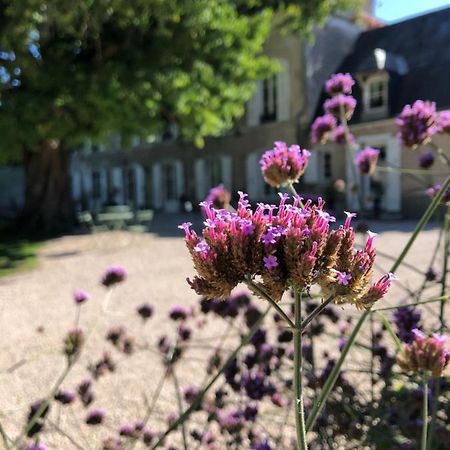 Domaine Saint-Hilaire Hotel Meung-sur-Loire Eksteriør billede
