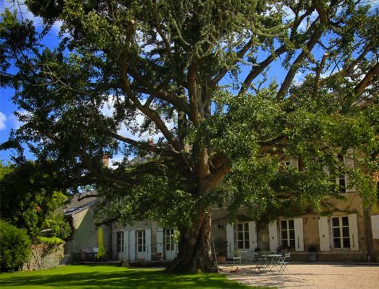 Domaine Saint-Hilaire Hotel Meung-sur-Loire Eksteriør billede