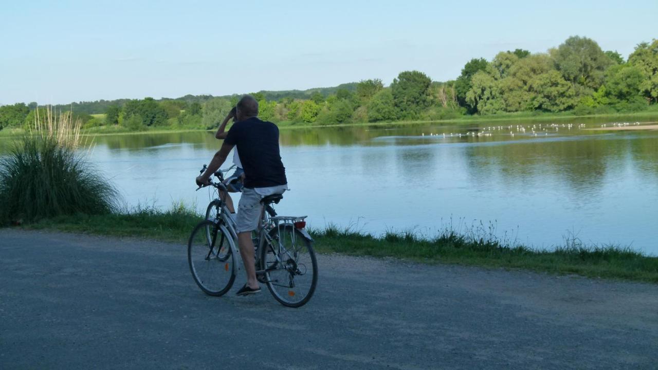 Domaine Saint-Hilaire Hotel Meung-sur-Loire Eksteriør billede