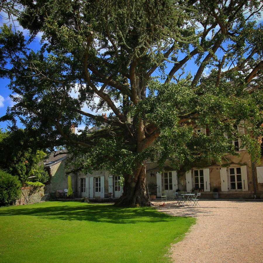 Domaine Saint-Hilaire Hotel Meung-sur-Loire Eksteriør billede