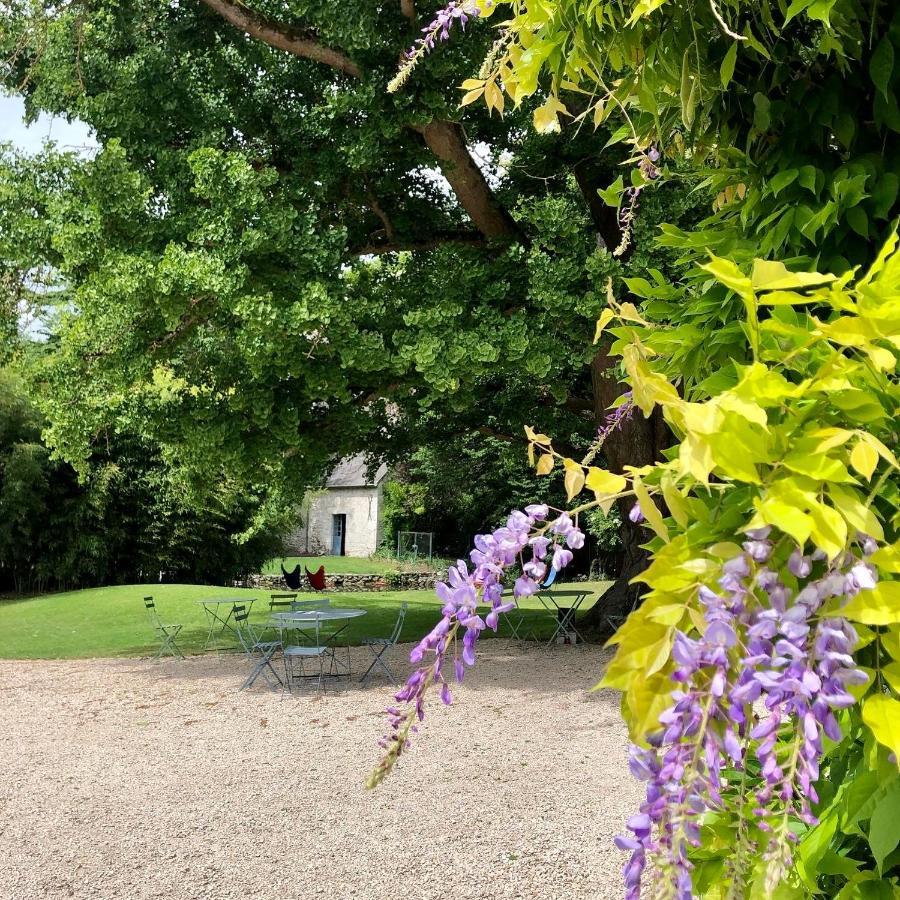 Domaine Saint-Hilaire Hotel Meung-sur-Loire Eksteriør billede
