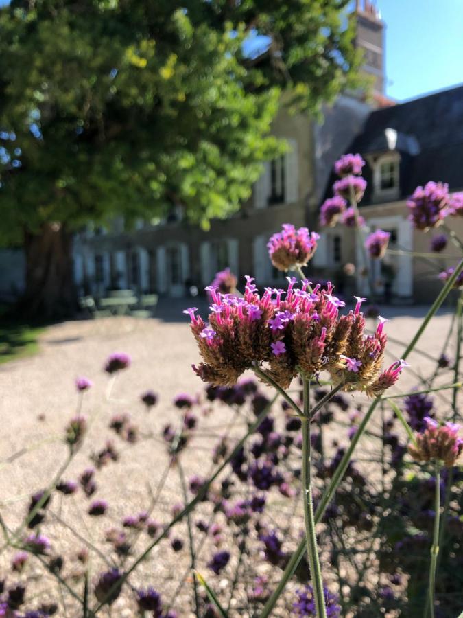 Domaine Saint-Hilaire Hotel Meung-sur-Loire Eksteriør billede